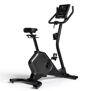 Schwinn 190 Upright Bike