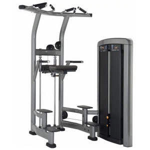Insignia Series Assist Dip Chin Fitness For Life Puerto Rico