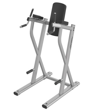 AXIOM Series Dip/Leg Raise Fitness For Life Puerto Rico
